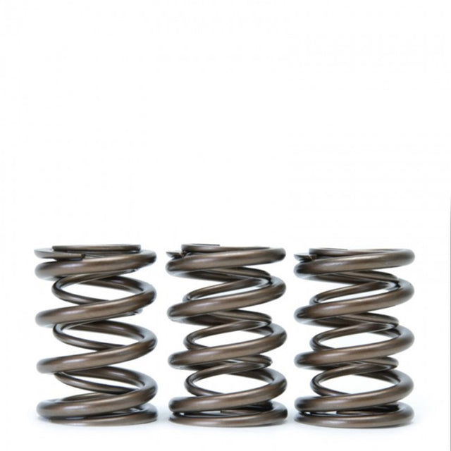 Skunk2 Tuner Series Honda/Acura (H22A/F20B) DOHC VTEC Alpha Valve Spring Set (Dual Springs) - RPL Performance