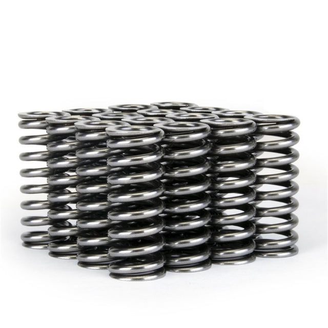 Skunk2 Alpha Series Honda D Series VTEC Valve Spring Set - RPL Performance