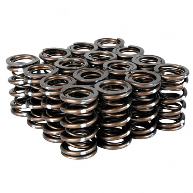Skunk2 Pro Series Honda/Acura B-Series VTEC XP Valve Spring Set (Dual Springs) - RPL Performance