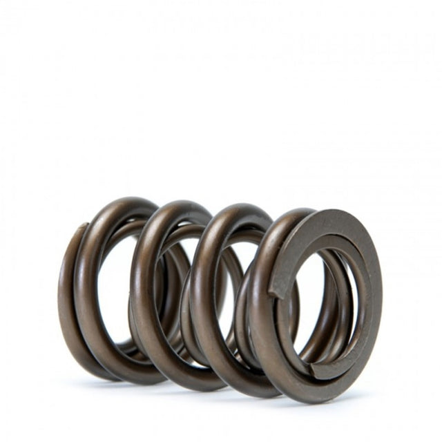 Skunk2 Tuner Series Honda/Acura (H22A/F20B) DOHC VTEC Alpha Valve Spring Set (Dual Springs) - RPL Performance