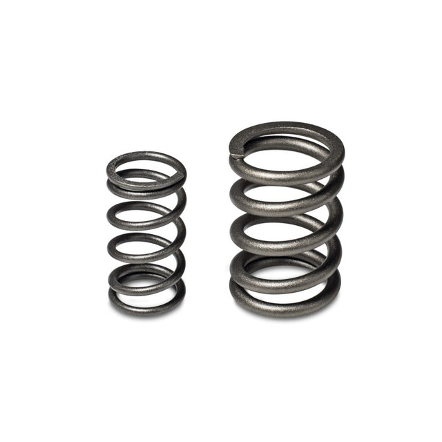 Skunk2 Tuner Series Honda/Acura (B16A/ B17A/ B18C) DOHC VTEC Alpha Valve Spring Set (Dual Springs) - RPL Performance