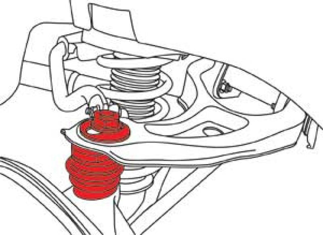 SPC Performance Acura Rear Adjustable - RPL Performance