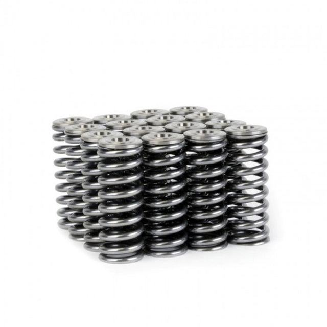 Skunk2 Alpha Series Honda/Acura D Series Valve Spring and Titanium Retainer Kit - RPL Performance