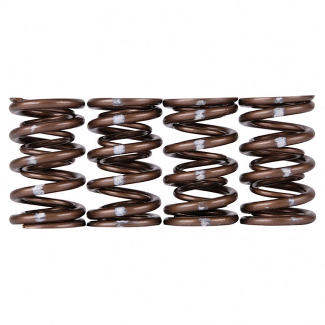 Skunk2 Pro Series Honda/Acura B-Series VTEC XP Valve Spring Set (Dual Springs) - RPL Performance