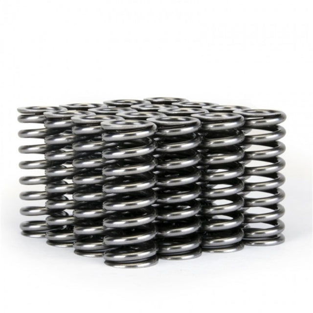 Skunk2 Alpha Series Honda D Series VTEC Valve Spring Set - RPL Performance