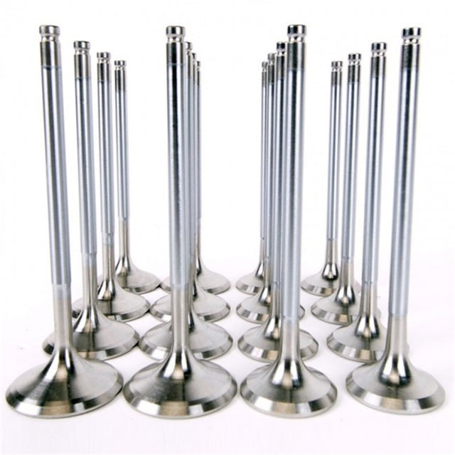 Skunk2 Alpha Series Honda/Acura Stock Size H Series Valve Set (Standard Compression) - RPL Performance