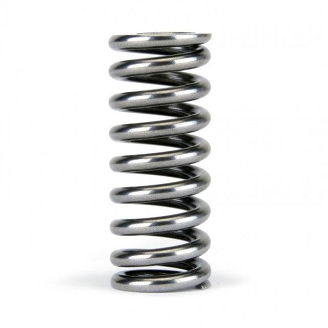 Skunk2 Alpha Series Honda D Series VTEC Valve Spring Set - RPL Performance