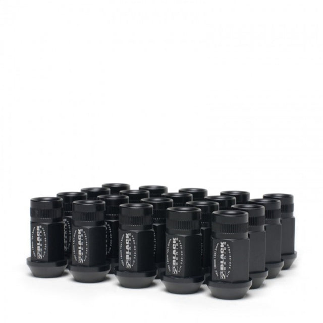 Skunk2 12 x 1.5 Forged Lug Nut Set (Black Series) (16 Pcs.) - RPL Performance