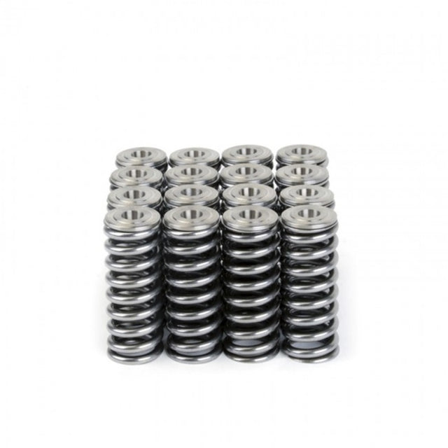 Skunk2 Alpha Series Honda/Acura D Series Valve Spring and Titanium Retainer Kit - RPL Performance