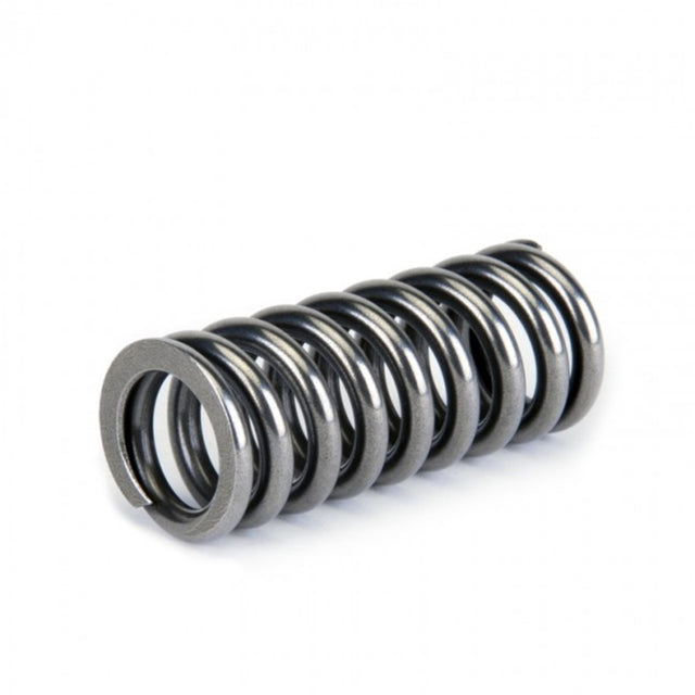 Skunk2 Alpha Series Honda D Series VTEC Valve Spring Set - RPL Performance