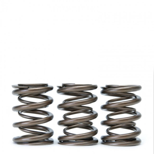 Skunk2 Tuner Series Honda/Acura (B16A/ B17A/ B18C) DOHC VTEC Alpha Valve Spring Set (Dual Springs) - RPL Performance