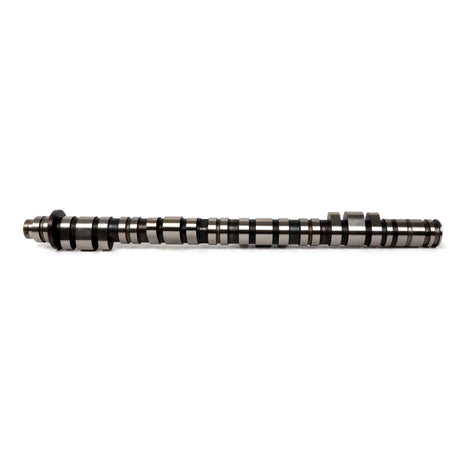 BLOX Racing Type-C Race Camshafts for K20A2 - RPL Performance