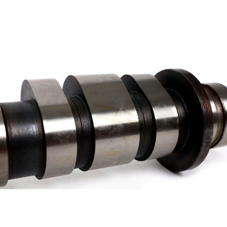 BLOX Racing Type-C Race Camshafts for K20A2 - RPL Performance