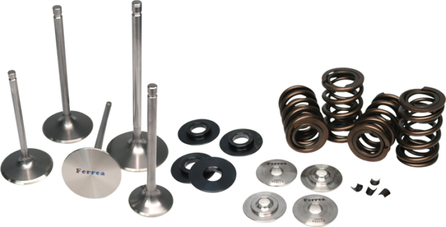 Ferrea Acura K20 Endurance Dual Spring Kit