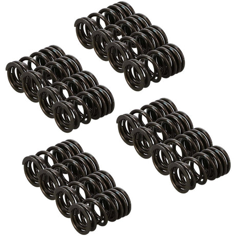 Manley Honda K20A/K20Z Valve Spring and Retainer Kit (w/o Valve Locks) - RPL Performance