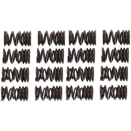 Manley Honda K20A/K20Z Valve Spring and Retainer Kit (w/o Valve Locks) - RPL Performance