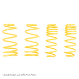 ST Sport-tech Lowering Springs Honda Civic Coupe Sedan