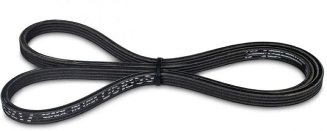 KraftWerks Supercharger B&D Series Race Kit Replacement Belt - RPL Performance