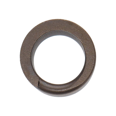 Manley Honda (K20A3 K24A) 16pc Valve Springs - RPL Performance