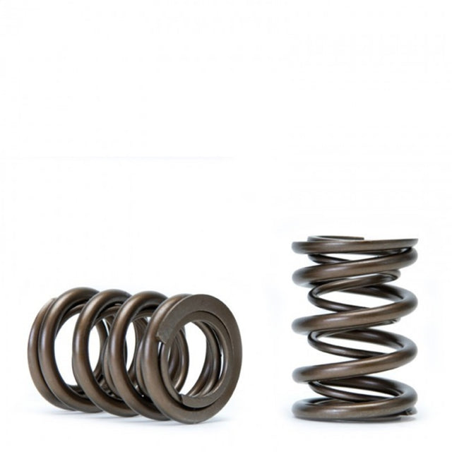 Skunk2 Tuner Series Honda/Acura (B16A/ B17A/ B18C) DOHC VTEC Alpha Valve Spring Set (Dual Springs) - RPL Performance