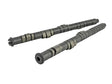 Skunk2 Tuner Series Honda B16A/B17A/B18C DOHC VTEC Stage 2 Cam Shafts - RPL Performance