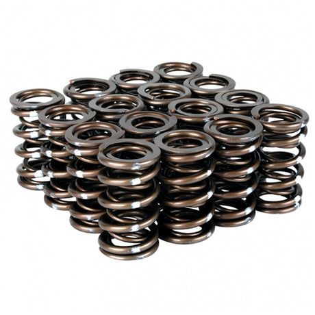 Skunk2 Pro Series Honda/Acura K-Series i-VTEC XP Valve Spring Set (Dual Springs) - RPL Performance
