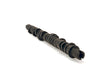 Skunk2 Tuner Series D-Series Honda Stage 4 Camshaft - RPL Performance