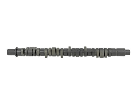 Skunk2 Tuner Series D-Series Honda Stage 2 Camshaft - RPL Performance