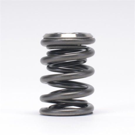 Skunk2 Alpha Series Honda/Acura B Series Valve Spring and Titanium Retainer Kit - RPL Performance