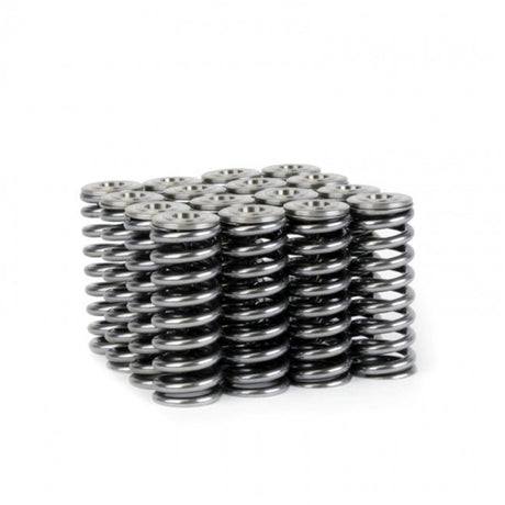 Skunk2 Alpha Series Honda/Acura D Series Valve Spring and Titanium Retainer Kit - RPL Performance