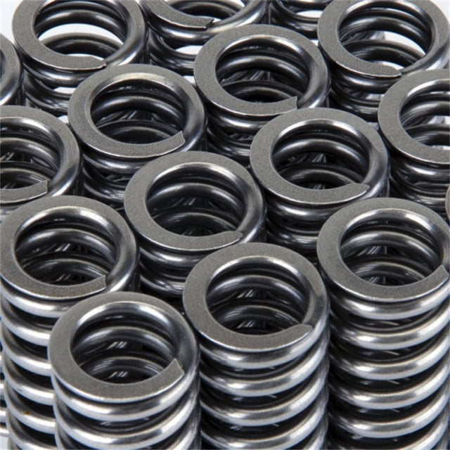 Skunk2 Alpha Series Honda D Series VTEC Valve Spring Set - RPL Performance