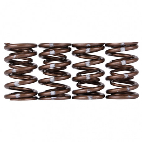 Skunk2 Pro Series Honda/Acura K-Series i-VTEC XP Valve Spring Set (Dual Springs) - RPL Performance
