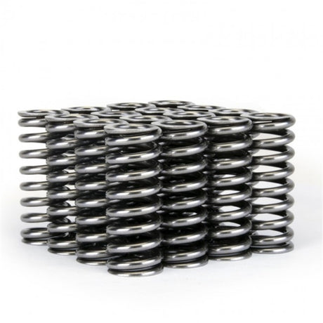 Skunk2 Alpha Series Honda D Series VTEC Valve Spring Set - RPL Performance