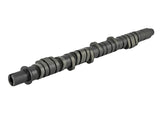 Skunk2 Tuner Series D-Series Honda Stage 4 Camshaft - RPL Performance