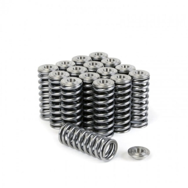 Skunk2 Alpha Series Honda/Acura D Series Valve Spring and Titanium Retainer Kit - RPL Performance