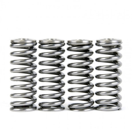 Skunk2 Alpha Series Honda/Acura D Series Valve Spring and Titanium Retainer Kit - RPL Performance