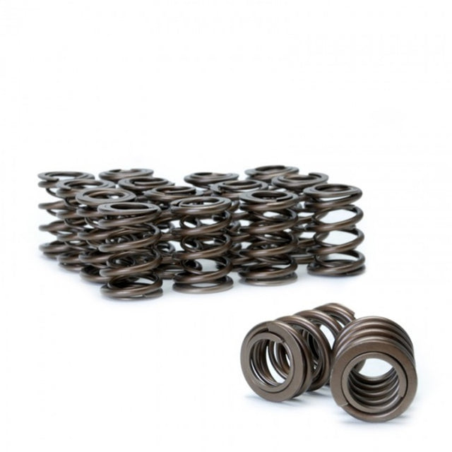 Skunk2 Tuner Series Honda/Acura (H22A/F20B) DOHC VTEC Alpha Valve Spring Set (Dual Springs) - RPL Performance