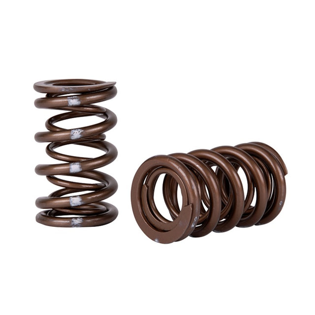 Skunk2 Pro Series Honda/Acura K-Series i-VTEC XP Valve Spring Set (Dual Springs) - RPL Performance