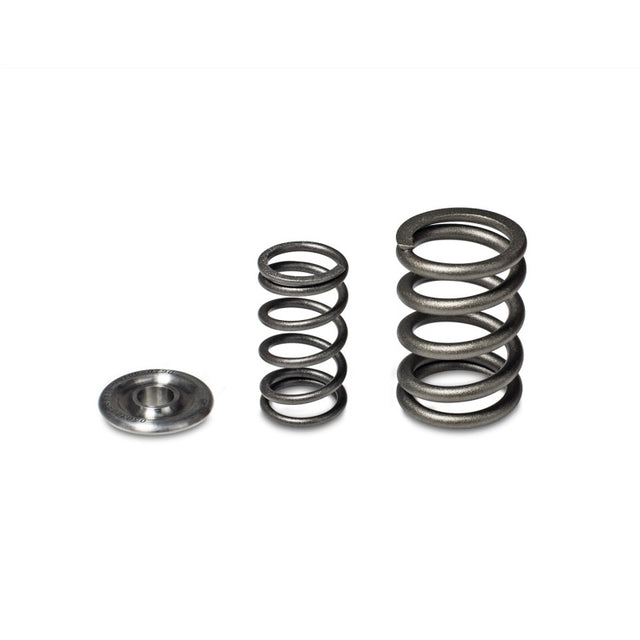 Skunk2 Alpha Series Honda/Acura H Series Valve Spring and Titanium Retainer Kit - RPL Performance